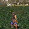 LastNinja