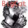 BigCat