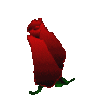 doqanbaba