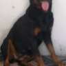 Kimene0101