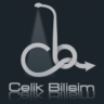 CELIK BILISIM
