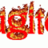 bugito11