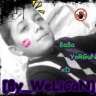velican06