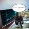 qarayell