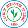 serdar5361