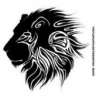 aslan0008