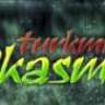 Pkasma