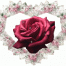 xRoseGarDen