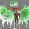 AliQueLLMt2