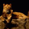 SrcnDmry26