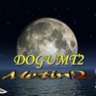 dogumt2
