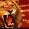 21sdad13123