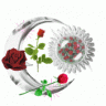 nettoyeur123123123