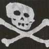 sonary33