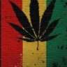 Timu R