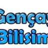 GencayBilisim