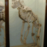 sefko893