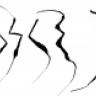 muscet