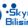skynetbilisim