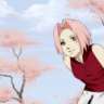 Sakuraa