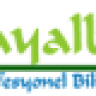 Hayal Bilisim
