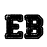 EBilisim