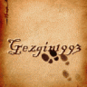 Gezgin1993