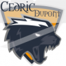 cedricdupont