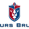 Ours Brun