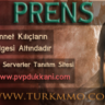 P R E N S