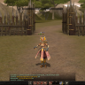 Usuii