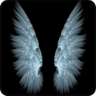 IAngelx35