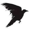 Los Crow