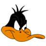 Daffyducks