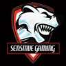 SensitiveGaming