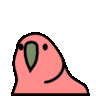 JaeSun