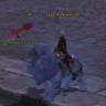 executionerexecuted