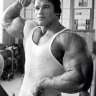 Arnold1