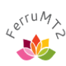 FerruMT2
