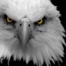 Kartal Mirliva