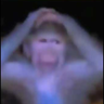 gopyh