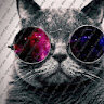 ionut you