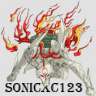 sonicxc123