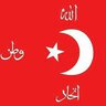 baskentli0678