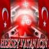 djsher1f15