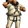 olupamir