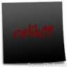 celik09