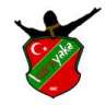 Sanaltehliqee