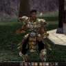 BodyGuard35