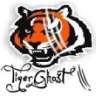 TigerGhost